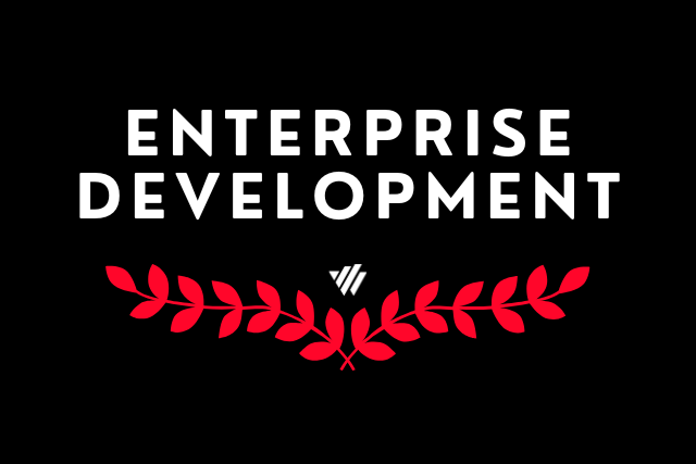 Enterprise Development