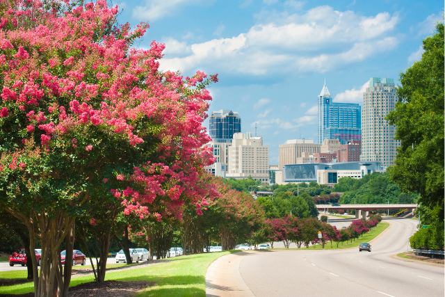 Raleigh. NC