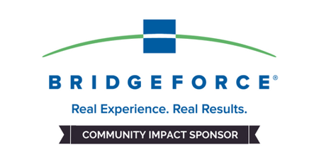 Bridgeforce 